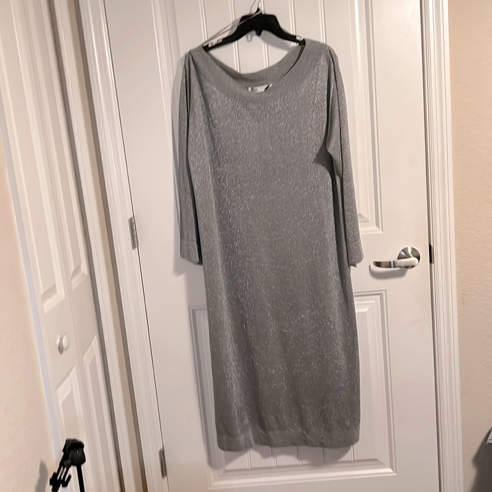 NWT Zara Metallic Dress Very Cute On